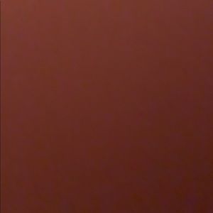 Meet your Posher, Lizzie